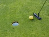A Golf putter and Ball Near the Green Hole