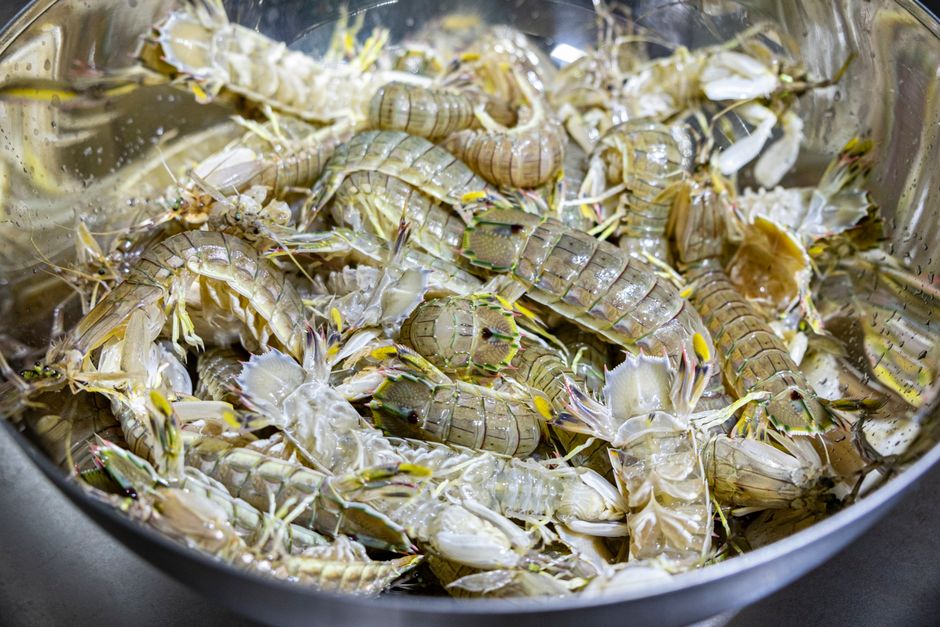 Close-up of Quang Ninh seafood banquet for corporate event, cha muc, mantis shrimp, hotpot, grilled shellfish, elegant serving style, mouthwatering, highly detailed realistic food photography