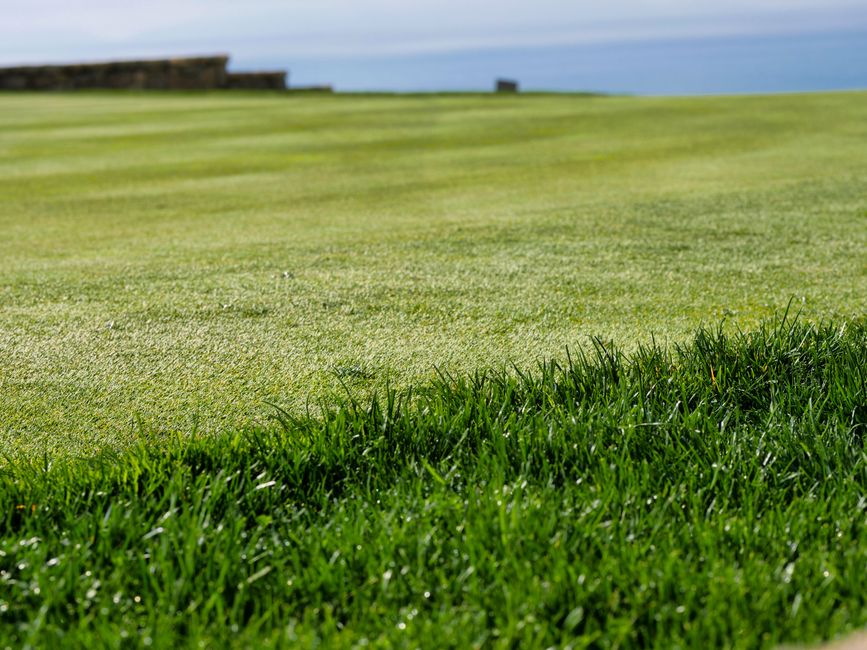 Annual fertilizer schedule: When to fertilize so you don't burn it — step-by-step reference media