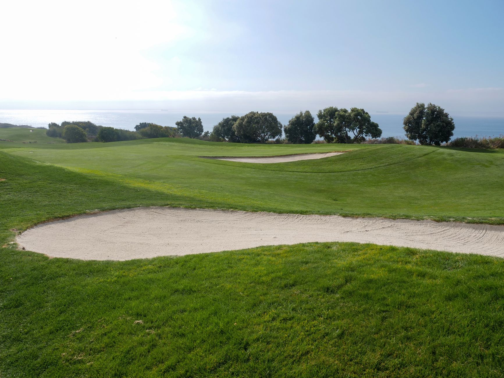 Trump California Course