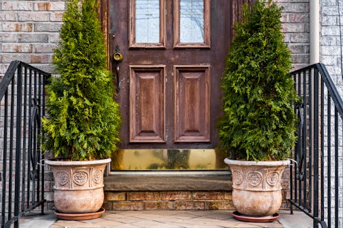 Brown 






Wooden Entrance Door with Potted Plants