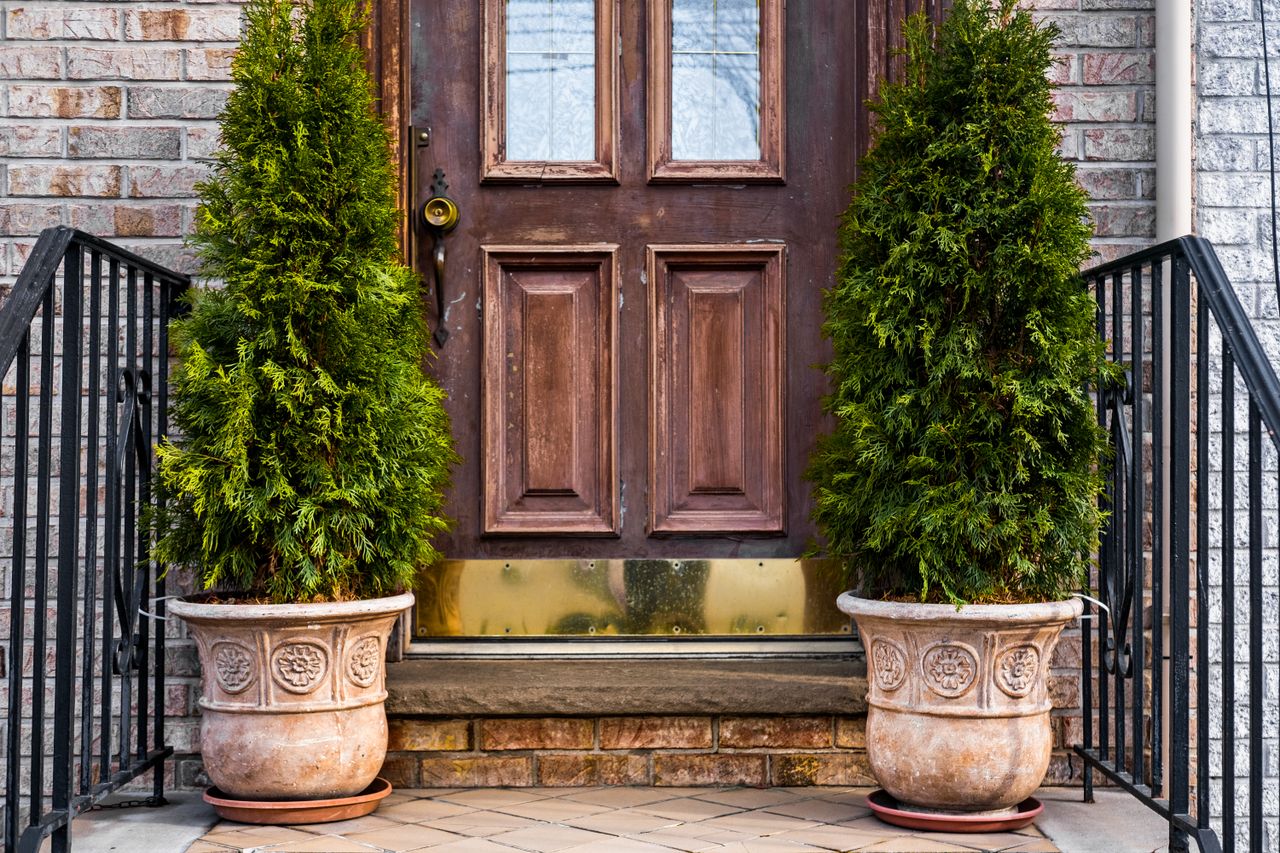 Two cedar topiaries in decorative stone urns flanking a wooden front door.