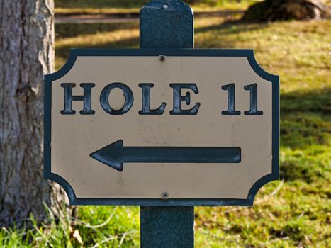 Close-up of a directional sign for Hole 11 on a golf course in daylight.