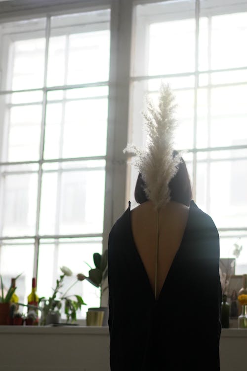 Back view of anonymous female in simple dress with gentle dry pampas grass on back