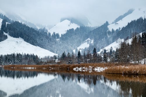 Безкоштовне стокове фото на тему «відображення води, гори, застуда»
