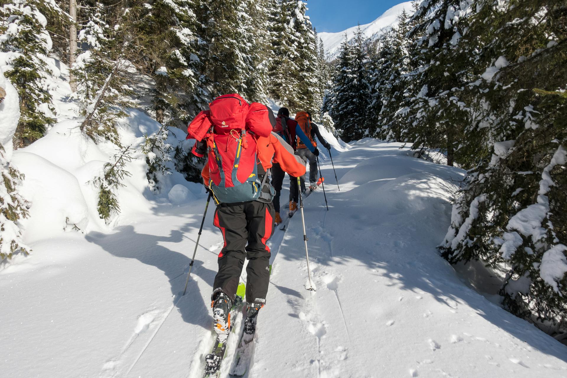 Group of skiers in winter gear traversing a snowy mountain trail surrounded by trees.