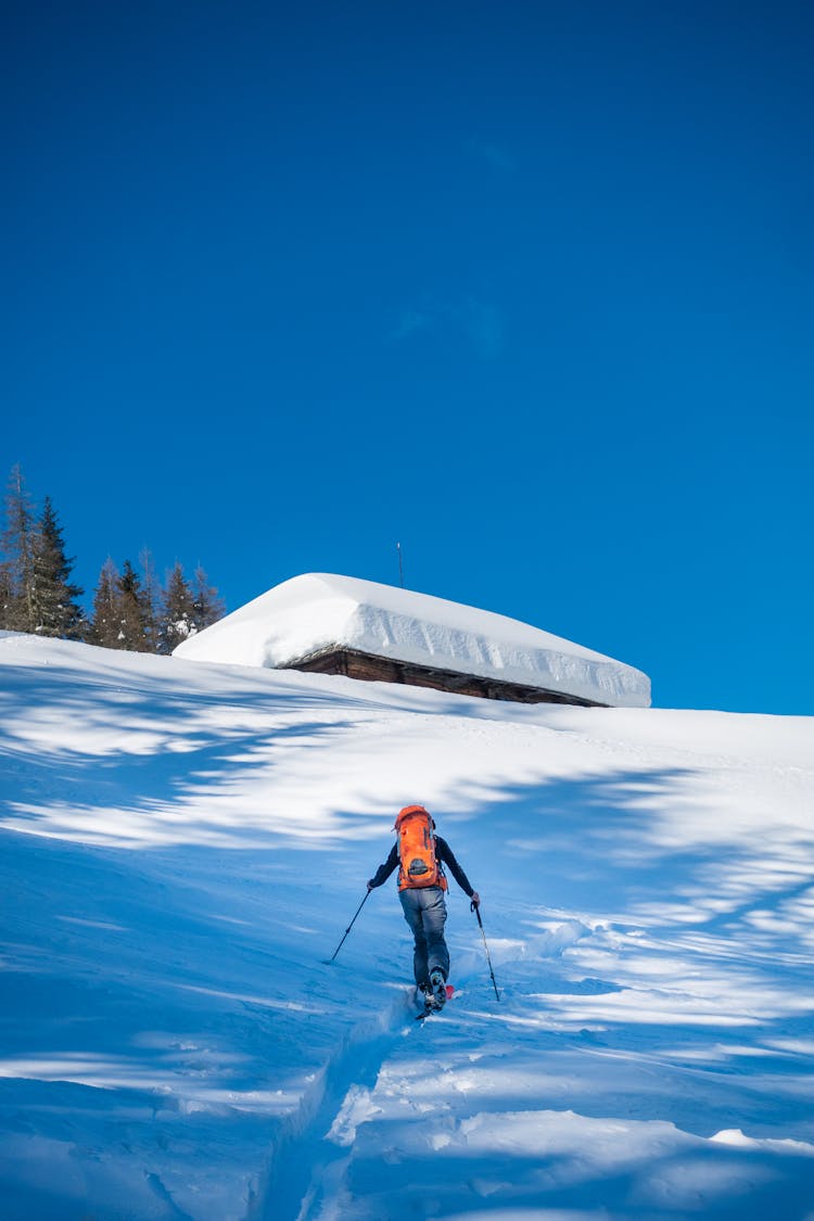 Back View Of A Person Ski Touring