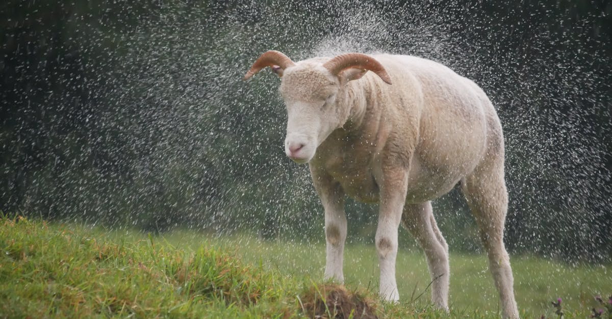 Why does it rain so often in England