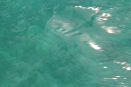 Бесплатное стоковое фото с голубая вода, океан