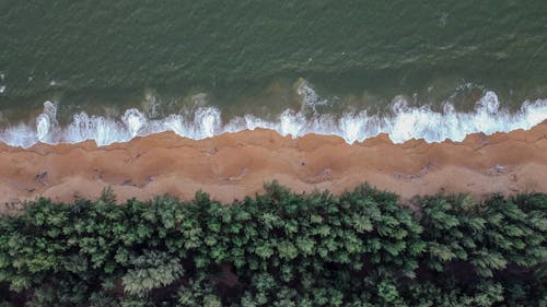 คลังภาพถ่ายฟรี ของ คลื่นกระแทก, จากข้างบน, ชายหาด