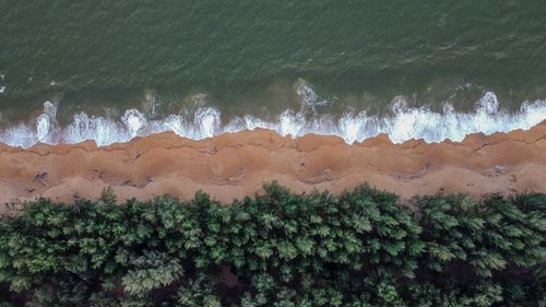 Free Aerial view of waves crashing on the sandy shores of Chukai, Malaysia, bordered by lush green forest. Stock Photo