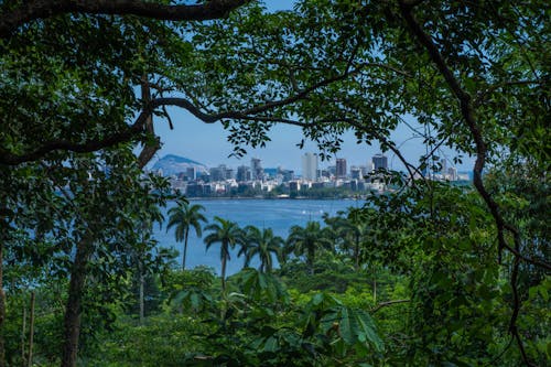 Free stock photo of beautiful landscape, blue, brasil