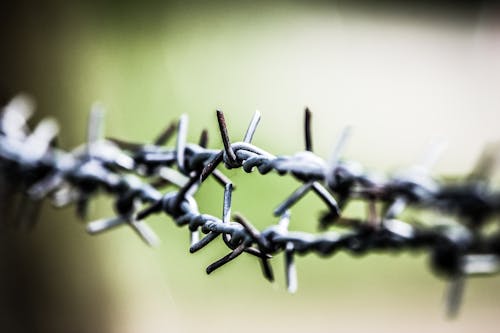 Sharp Barbed Wire Fence