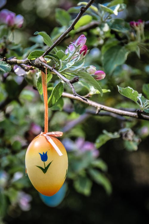 Free Colorful Easter egg with floral design hanging on a tree branch against a blurred background. Stock Photo