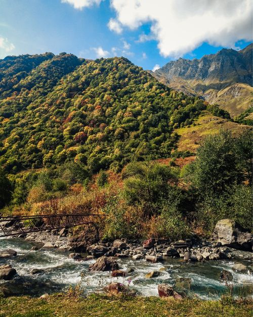 Free Vibrant mountain scenery featuring a flowing stream and lush greenery under a clear sky. Stock Photo