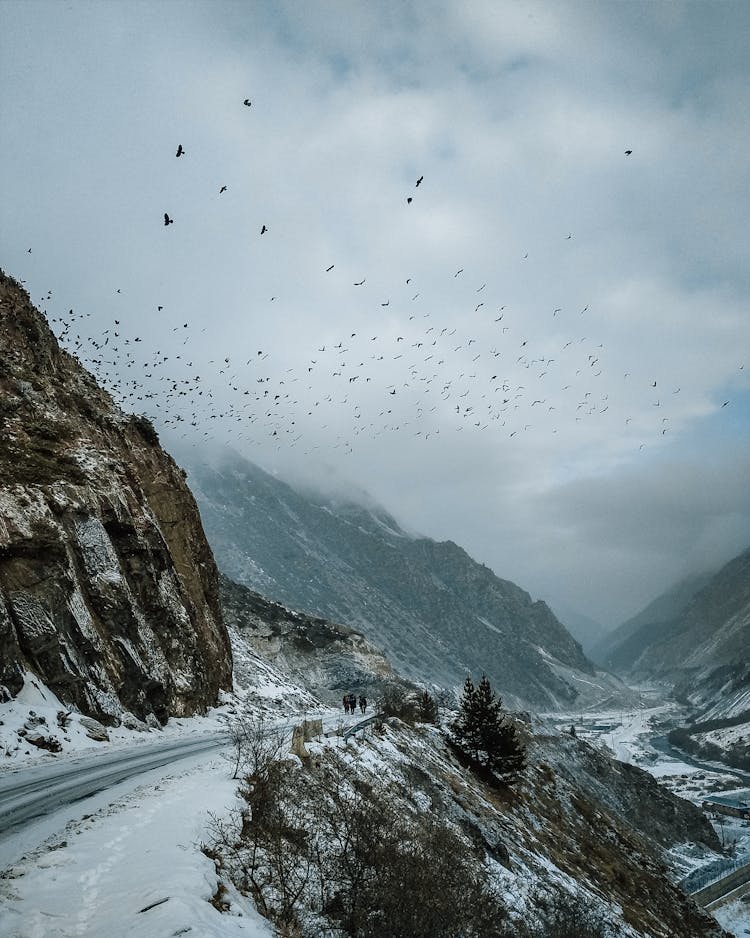 Flock Of Birds Flying Above A Valley In Winter