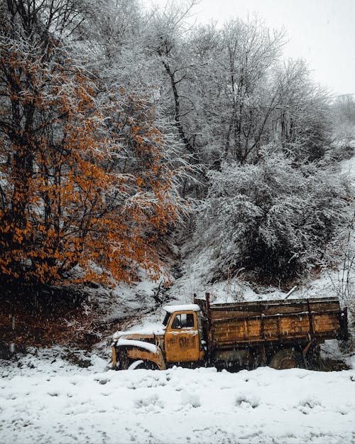 冬季, 卡車, 垂直拍摄 的 免费素材图片