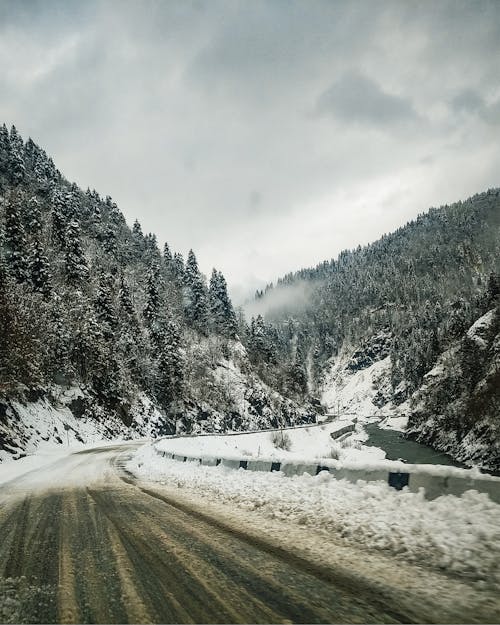 Fotos de stock gratuitas de arboles, carretera, congelado