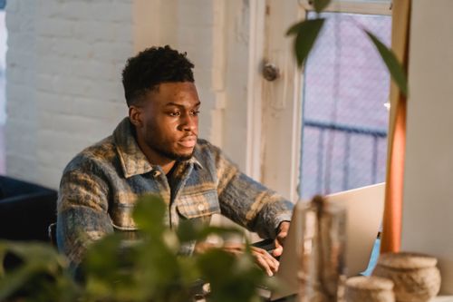 Free Serious African American male freelancer sitting at table with computer and looking at screen while working in cozy room with green plants Stock Photo