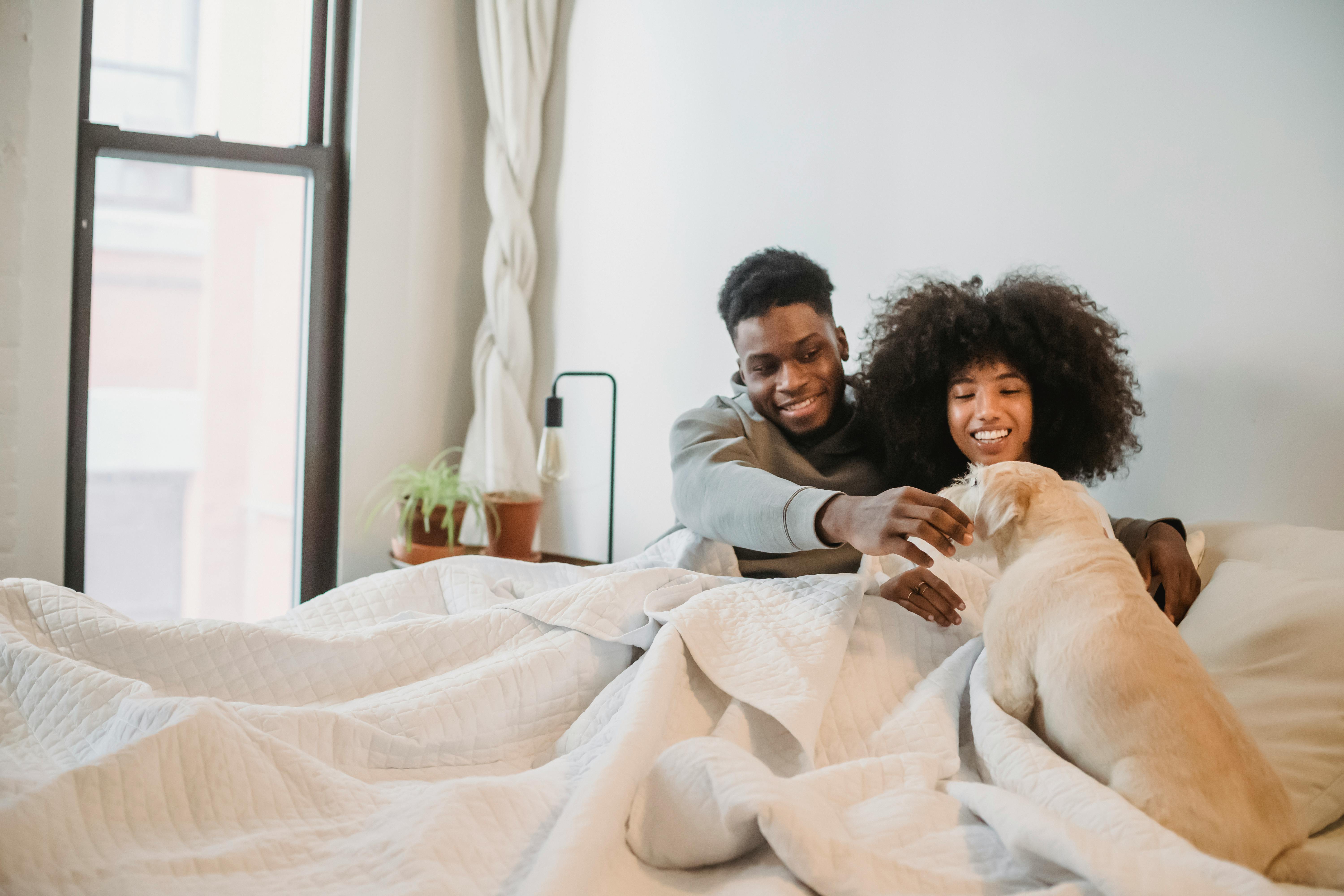 Happy young African American couple tenderly stroking dog in white light bedroom in morning