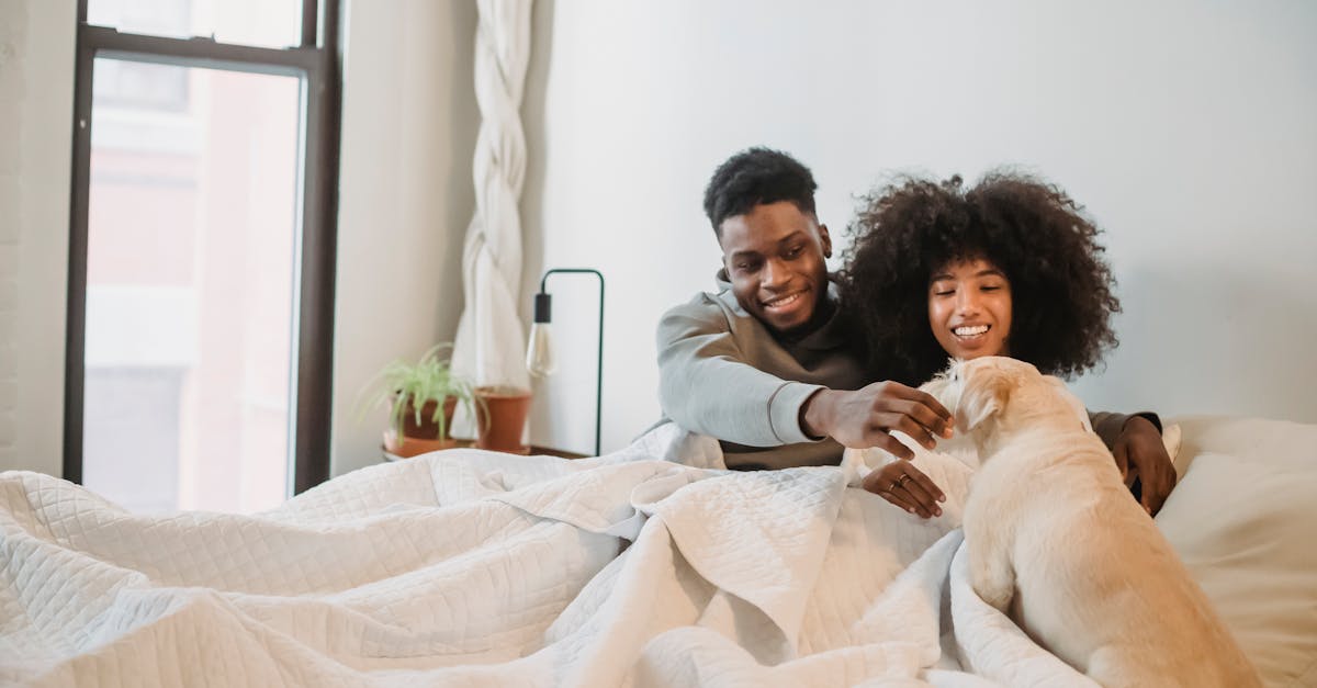 Happy young African American couple tenderly stroking dog in white light bedroom in morning