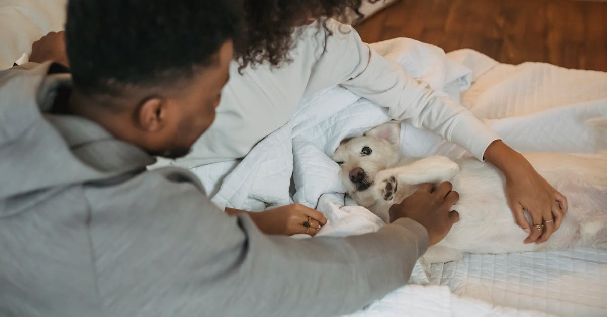 Happy black couple in bed with pet
