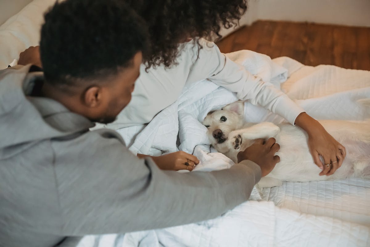 Happy black couple in bed with pet