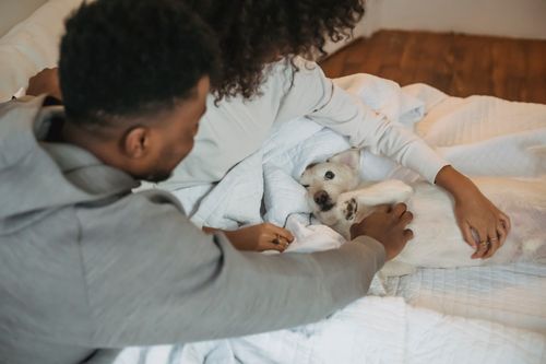 Free From above of crop African American couple resting in bedroom and stroking playful dog Stock Photo