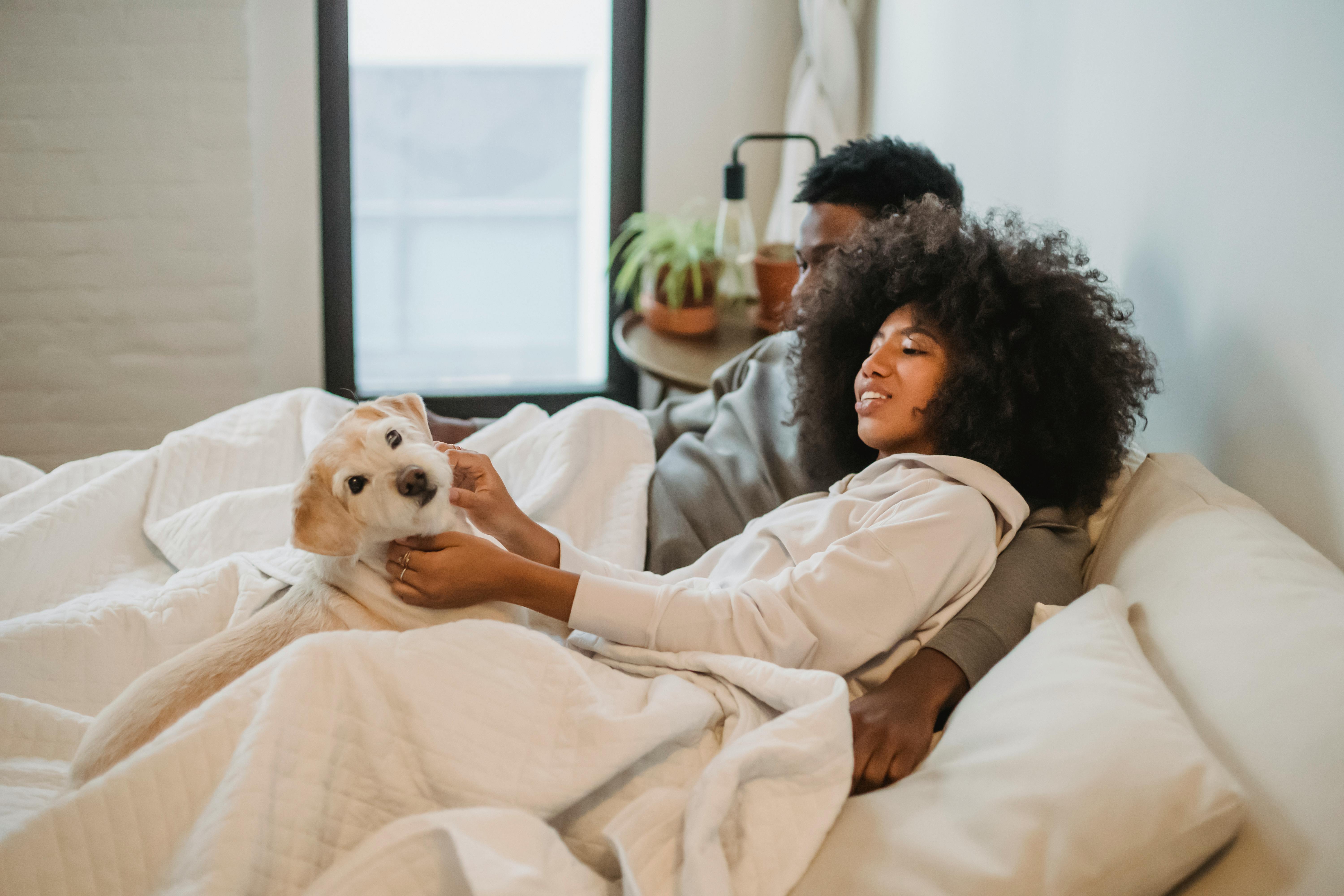 ethnic couple in bed with dog