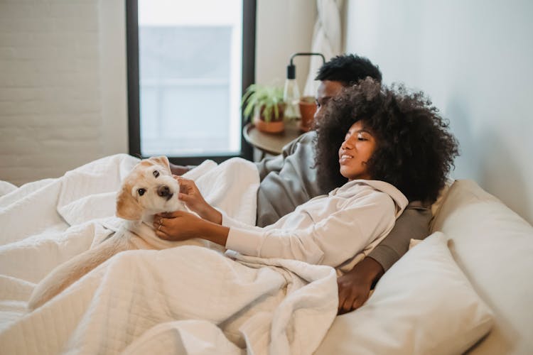 Ethnic Couple In Bed With Dog