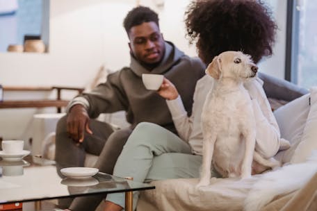 A couple relaxes on a couch with their pet dog in a cozy home setting, enjoying coffee together.