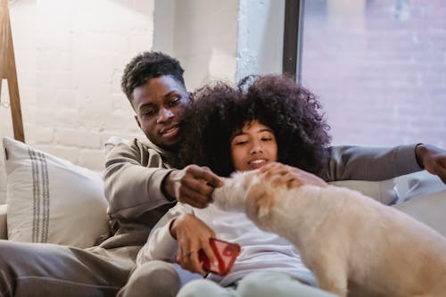 Happy African American couple relaxing on sofa while playing with white adorable dog in lounge