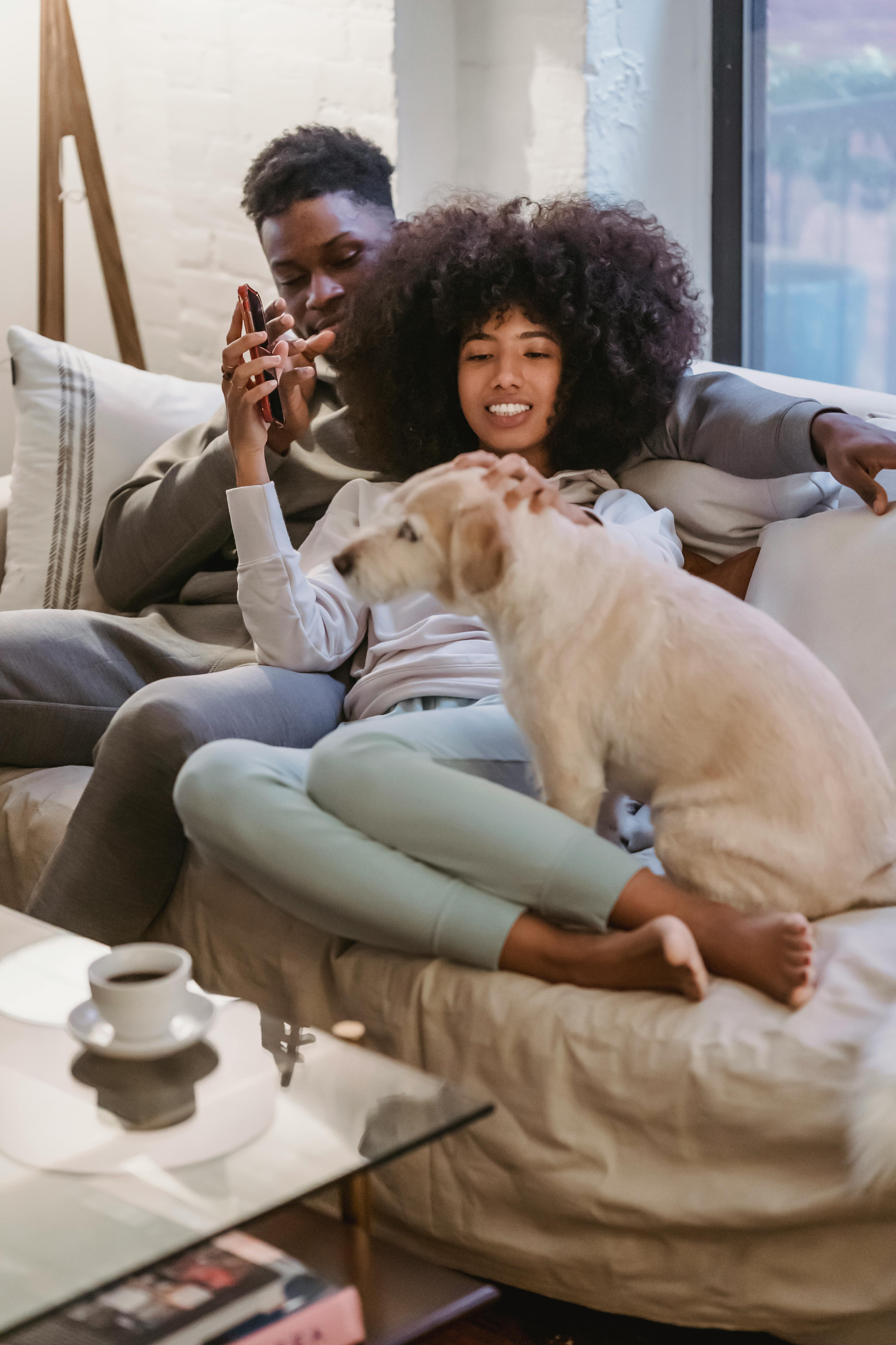 happy black couple relaxing on sofa with dog in daytime