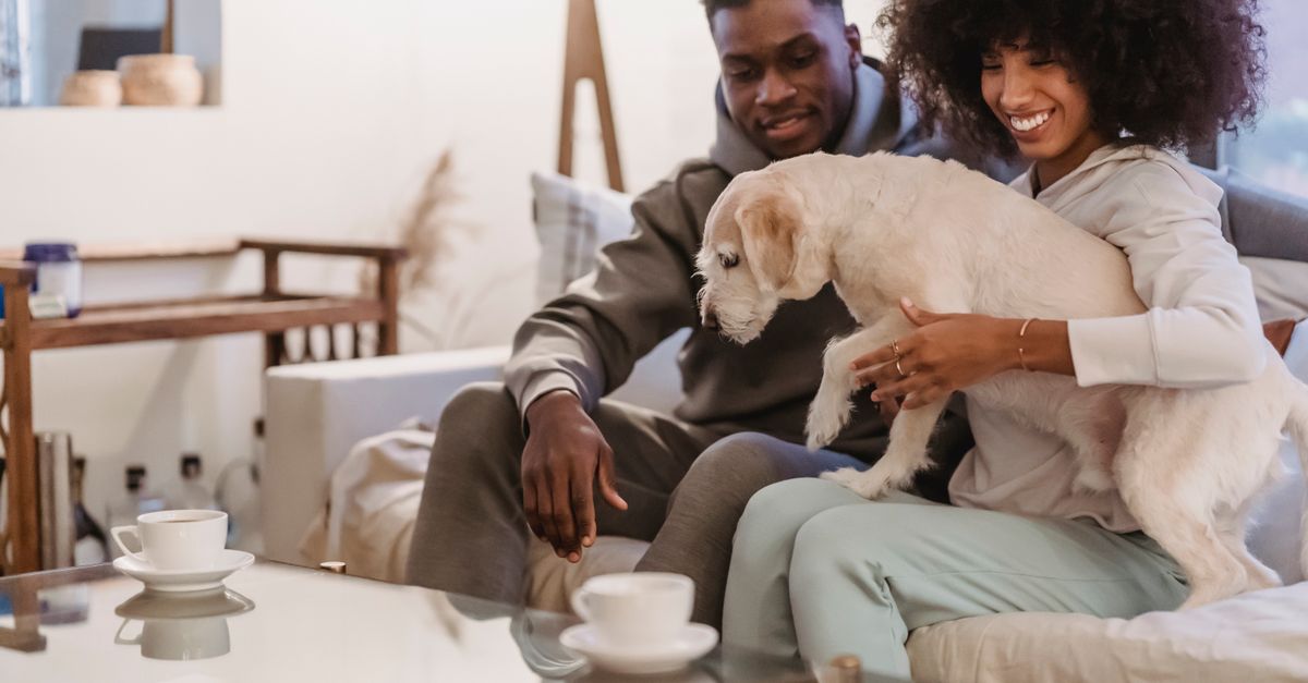 How to Choose the Best Pet for Your Lifestyle