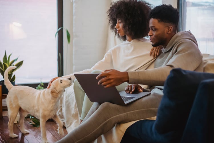 Black Couple Browsing Laptop And Playing With Dog At Home