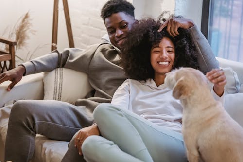 Free Cheerful African American woman with curly hair lying on black boyfriend on comfortable sofa and looking at obedient dog in datime Stock Photo