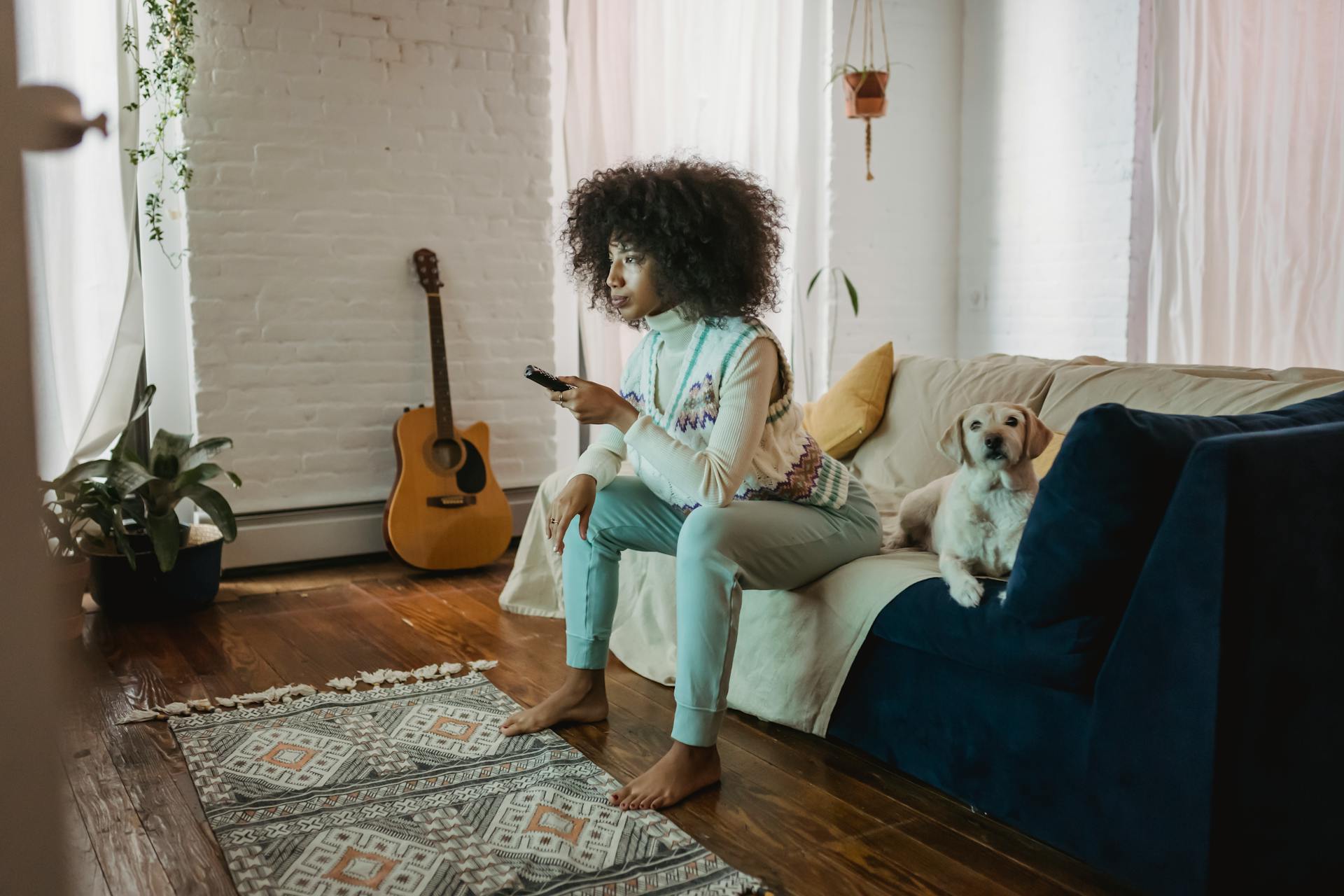 Adorable dog relaxing on sofa neat calm black female owner watching TV