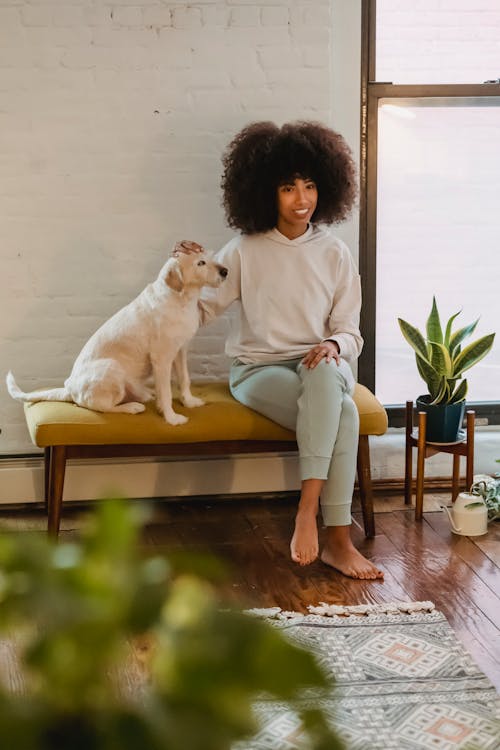 Full length of joyful young barefooted ethnic female owner with Afro hair in casual clothes smiling and caressing obedient dog sitting on bench near wall at home