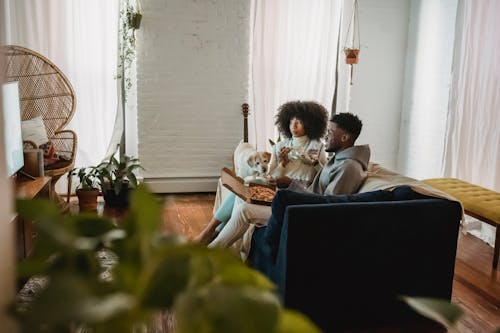 Free Concentrated African American couple having snack with pizza on sofa with curious hungry dog at home Stock Photo