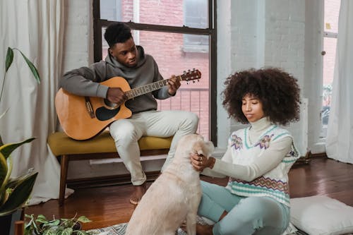 Free Concentrated African American boyfriend playing chords on guitar while ethnic girlfriend touching cute fluffy dog at home Stock Photo
