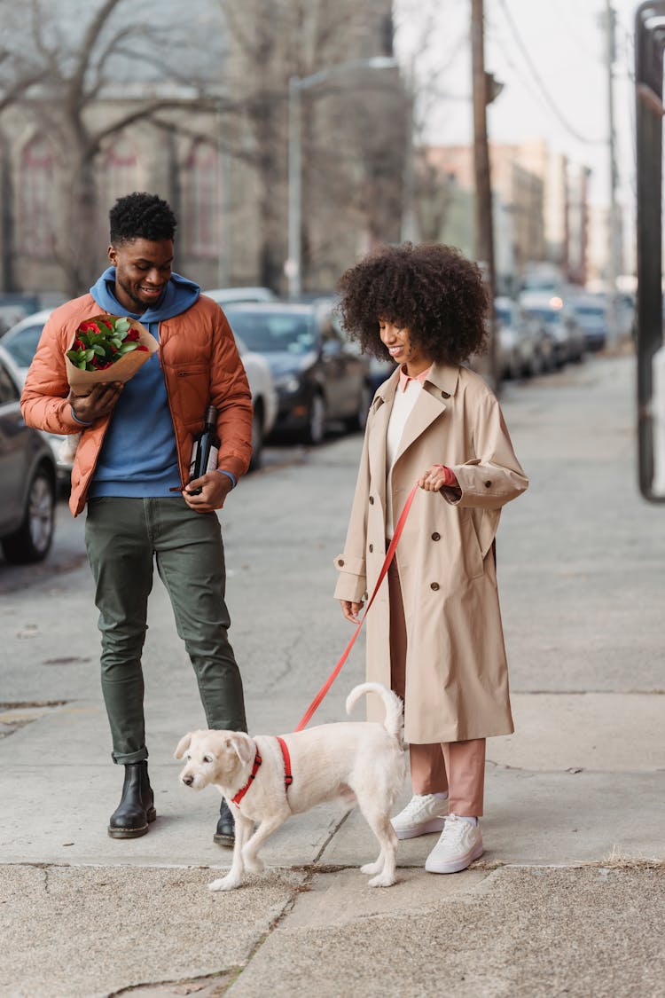 Black Happy Couple Walking With Dog On Street