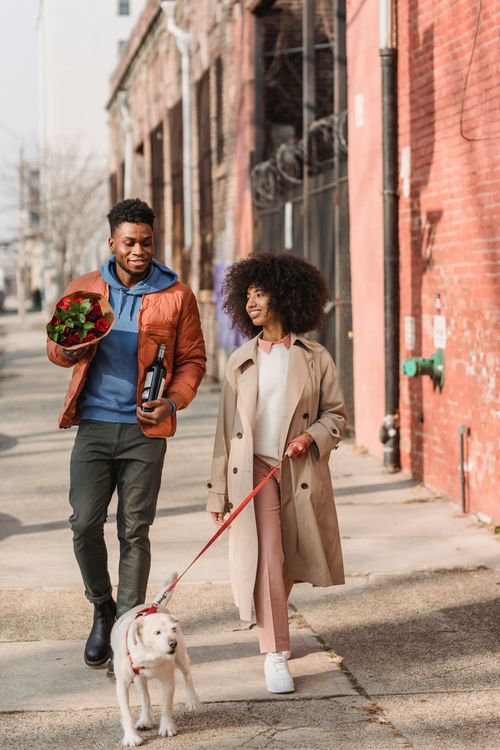 Free Full body of cheerful African American couple promenading with cute funny dog and fresh red roses on street Stock Photo
