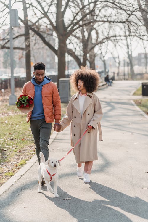 Full body of African American couple with bouquet of fresh red roses walking with adorable little dog in urban park