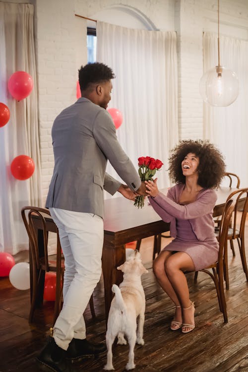 Free Full body of African American male presenting red roses to black girlfriend surprised while sitting on chair near pet Stock Photo