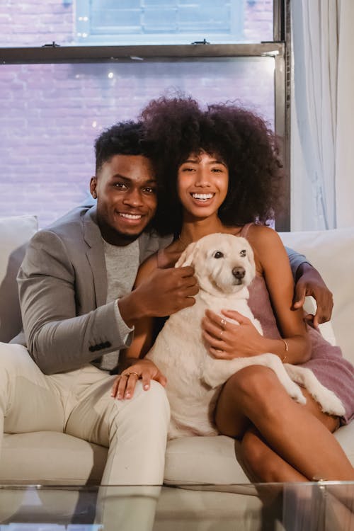 Free Cheerful African American couple in casual clothes sitting on comfortable sofa and stroking adorable dog in cozy room at home Stock Photo