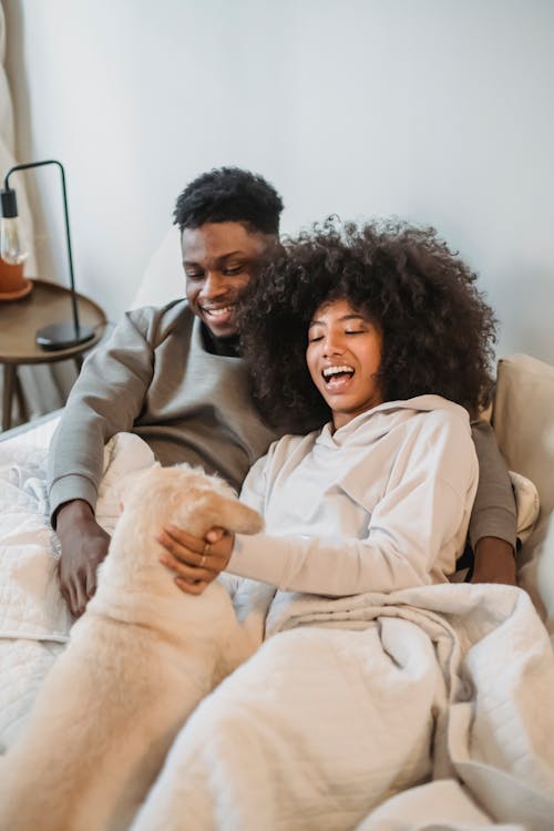 Free From above of happy young African American couple cuddling and playing with obedient dog while lying in bed in morning Stock Photo