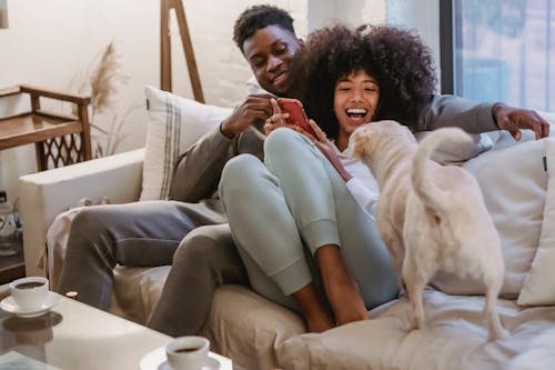 Free Delighted African American couple sharing smartphone on couch and playing with pet Stock Photo