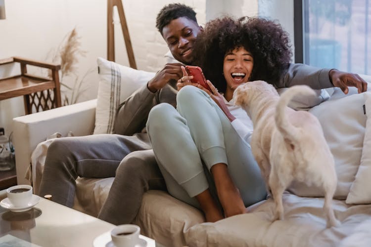 Delighted African American Couple Sharing Smartphone On Couch And Playing With Pet