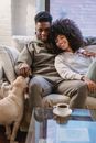 Beloved young African American guy in casual clothes embracing positive girlfriend and stroking cute dog while resting on sofa at home