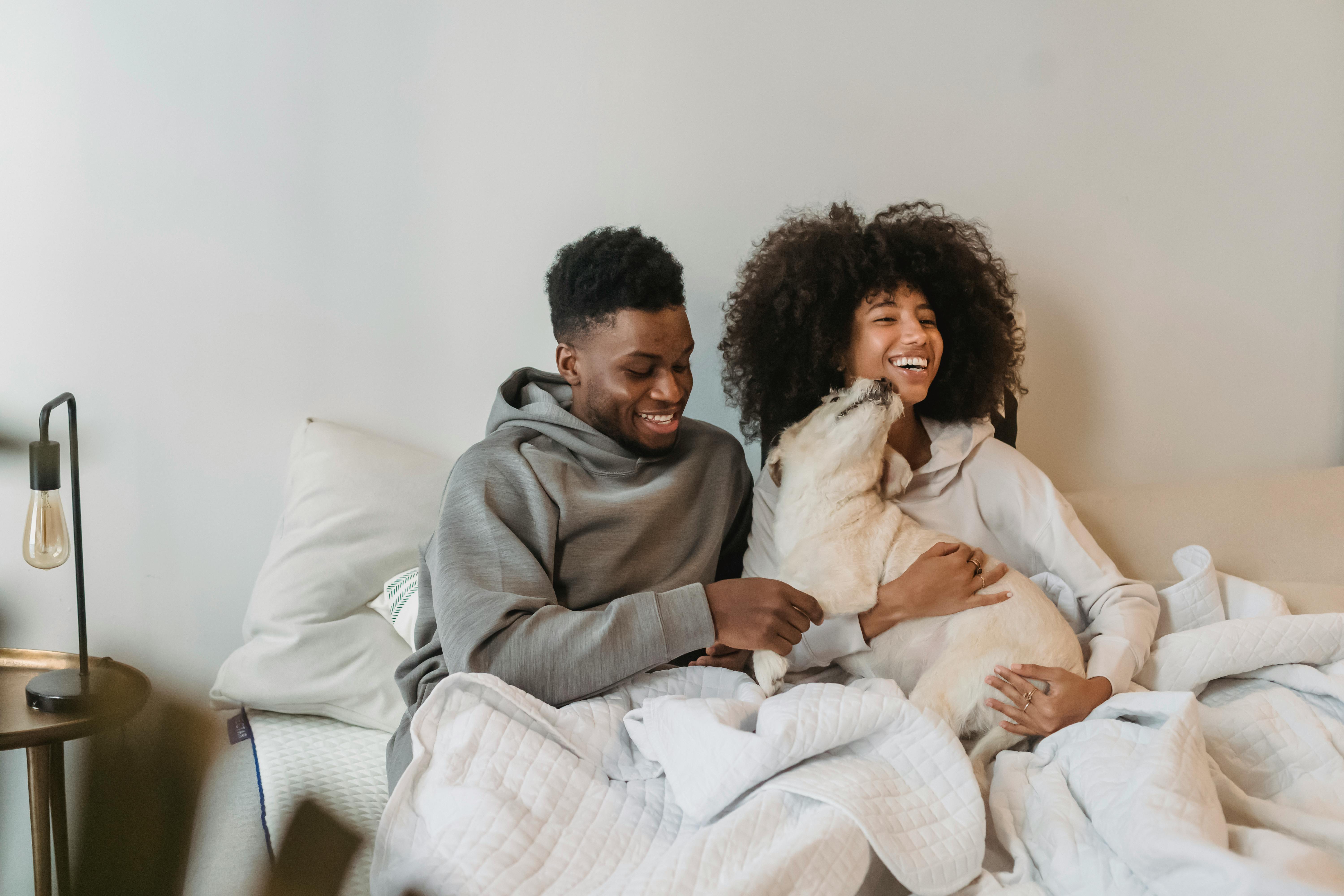 Happy young black woman with curly hair smiling and embracing curious loyal dog while resting on bed with positive boyfriend during weekend at home